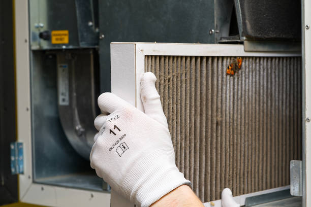 Best Air Vent Cleaning Services  in Lone Grove, OK